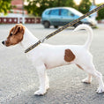 Load image into Gallery viewer, Los Angeles FC Satin Ribbon Leash