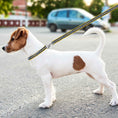 Load image into Gallery viewer, LA Galaxy Satin Ribbon Leash