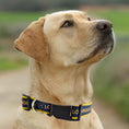 Load image into Gallery viewer, LA Galaxy Satin Collar
