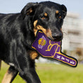 Load image into Gallery viewer, LA Lakers #1 Fan Toy