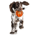 Load image into Gallery viewer, La Lakers Hard Nylon Basketball Chew Toy