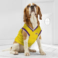 Load image into Gallery viewer, Los Angeles Lakers Dog Jersey