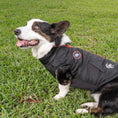 Load image into Gallery viewer, PBR Official Dog Puffer Vest - Zip-Up Insulated Pet Coat