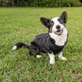 Load image into Gallery viewer, PBR Official Dog Puffer Vest - Zip-Up Insulated Pet Coat