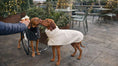Load image into Gallery viewer, Bowsers Manhattan Dog Walking Coat in blue-lagoon
