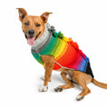 Load image into Gallery viewer, Rainbow Mohawk Dog Sweater