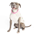 Load image into Gallery viewer, Rose Bud Dog Sweater