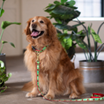 Load image into Gallery viewer, Ladybugs Wide Dog Collar
