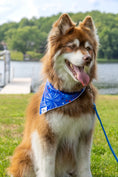 Load image into Gallery viewer, Patriotic Dog Bandana - Southlake Paws