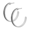 Load image into Gallery viewer, Large Paw Print Hoop Earrings, Never Ending Paw