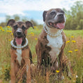 Load image into Gallery viewer, Large Pearl Dog Collar Necklace - Southlake Paws