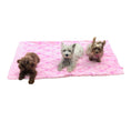 Load image into Gallery viewer, Blanket, Embroidered Roses in Pale Pink