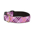 Load image into Gallery viewer, Lavender Lattice Extra Wide Dog Collar 1.5"