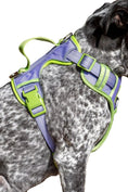 Load image into Gallery viewer, Lavender Garden Ultimate Dog Harness - Southlake Paws