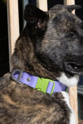 Load image into Gallery viewer, Lavender Garden Waterproof Dog Collar - Southlake Paws