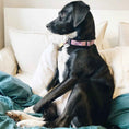 Load image into Gallery viewer, Up Country Lavender Lattice Cast Brass Dog Collar