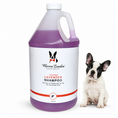 Load image into Gallery viewer, Calming Lavender Dog Shampoo w/Aloe Vera & Essential Oils - Professional Size