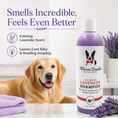 Load image into Gallery viewer, Calming Lavender Dog Shampoo w/Aloe Vera & Essential Oils