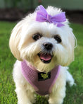 Load image into Gallery viewer, EcoBark Lavender Dog Harness - Over-the-Head Soft Mesh Vest Halter for XS to Medium Breed Dogs