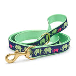 Leader of the Pach Dog Lead