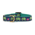 Load image into Gallery viewer, Leader of the Pach Small Breed Dog Collar