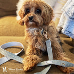 Fabric Dog Leash - Grey