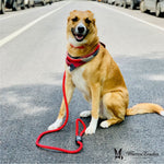 Climbing Rope Dog Leash - Red