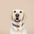 Load image into Gallery viewer, Leighton Dog Collar
