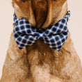 Load image into Gallery viewer, Leighton Dog Bow Tie