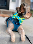 Load image into Gallery viewer, Lemon Bow Tie