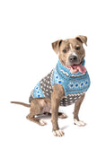 Load image into Gallery viewer, Light Blue Fair Isle Dog Sweater