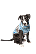 Load image into Gallery viewer, Light Blue Fair Isle Dog Sweater
