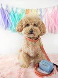 Load image into Gallery viewer, Ainsley Vegan Leather Dog Leash