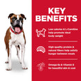 Load image into Gallery viewer, Hill's Science Diet Adult Light with Chicken Meal & Barley Dry Dog Food Bag (30lb)