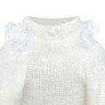 Load image into Gallery viewer, Lil Lamb Dog Sweater