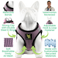 Load image into Gallery viewer, EcoBark Step In Dog Harness - XXXS to Small Breeds- Reflective Soft Mesh Harness for Teacup, Small Dogs and Puppies / Lilac Pink