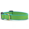 Load image into Gallery viewer, Up Country Color Market - Narrow Cast Brass Dog Collar