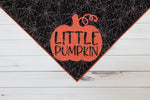 Little Pumpkin Web Halloween Dog Bandana