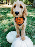 Load image into Gallery viewer, Little Pumpkin Web Halloween Dog Bandana