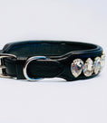 Load image into Gallery viewer, Liz Big Dog Collar Crystal