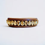Liz Dog Collar Golden Shadow
