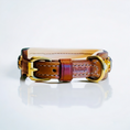 Load image into Gallery viewer, Liz Dog Collar Multicolored #2