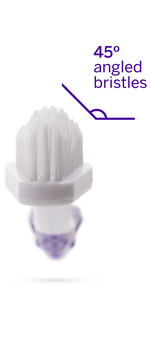 Professional Toothpaste London Broil Large & Professional Pet Toothbrush petsmile