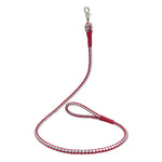 Loop Dog Leash
