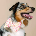 Load image into Gallery viewer, Lottie Dog Babe Bow
