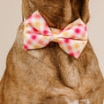 Load image into Gallery viewer, Lottie Dog Bow Tie