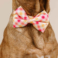Load image into Gallery viewer, Lottie Dog Bow Tie