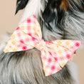 Load image into Gallery viewer, Lottie Dog Babe Bow