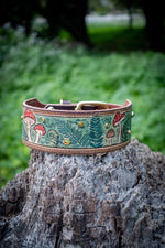 Fairytale Forest - Mushrooms and Ferns