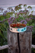 Load image into Gallery viewer, Sea Turtle Dog Collar - Southlake Paws